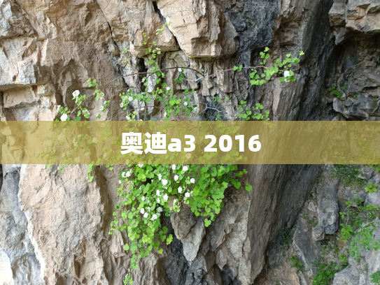 奥迪a3 2016