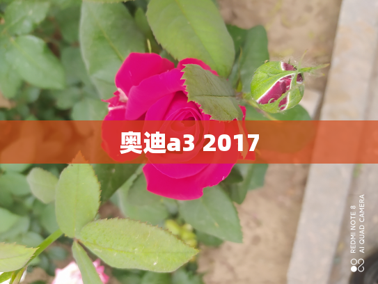 奥迪a3 2017