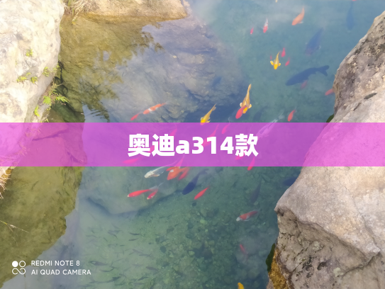 奥迪a314款