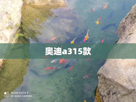 奥迪a315款