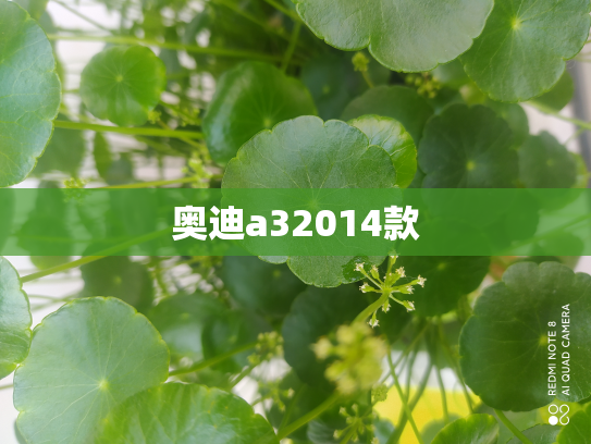 奥迪a32014款