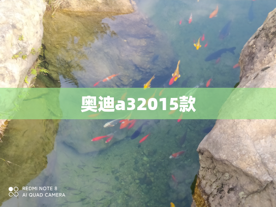 奥迪a32015款