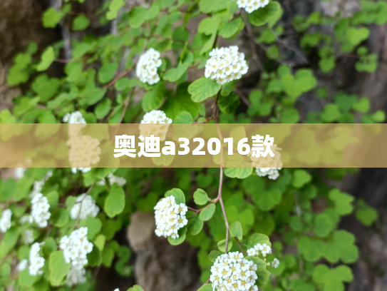 奥迪a32016款
