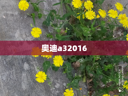奥迪a32016