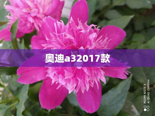 奥迪a32017款