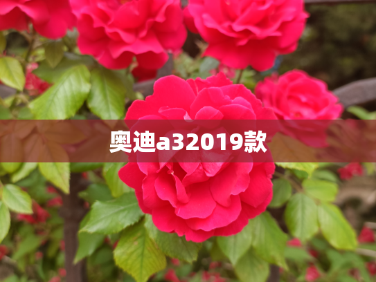 奥迪a32019款