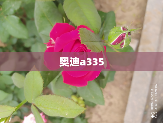 奥迪a335