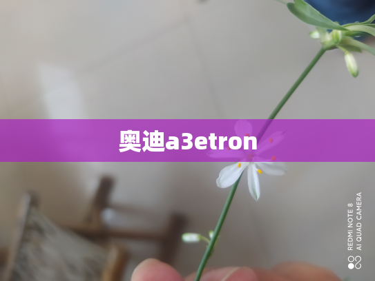 奥迪a3etron