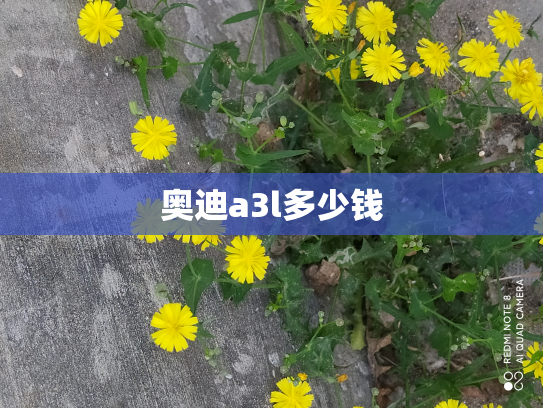 奥迪a3l多少钱