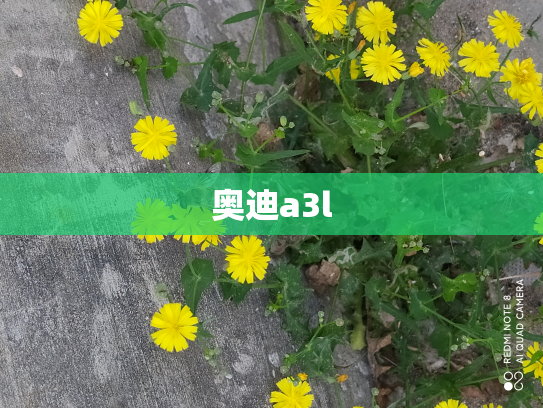 奥迪a3l