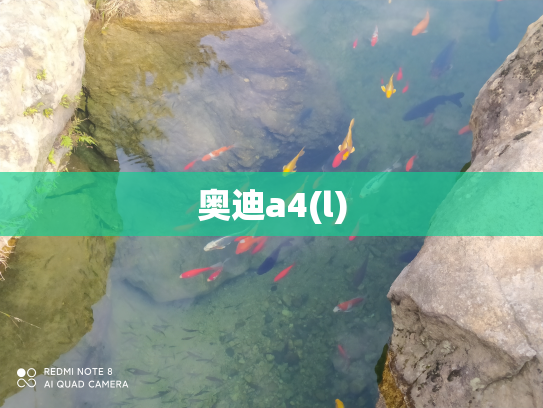 奥迪a4(l)