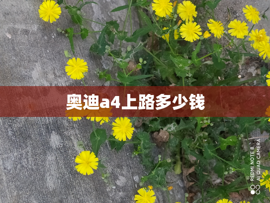 奥迪a4上路多少钱