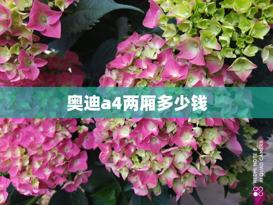 奥迪a4两厢多少钱