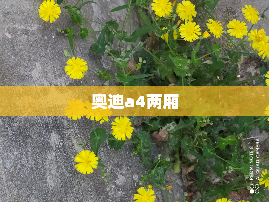 奥迪a4两厢