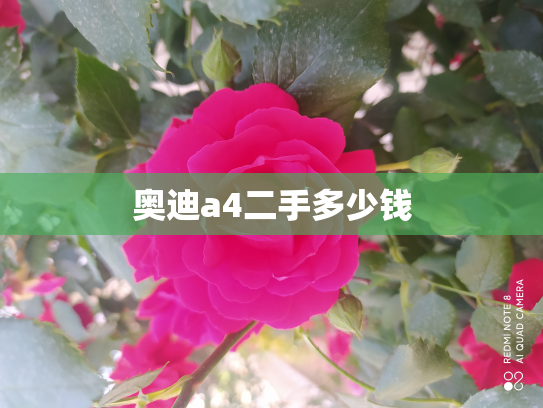 奥迪a4二手多少钱