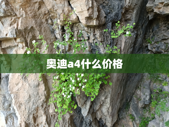 奥迪a4什么价格