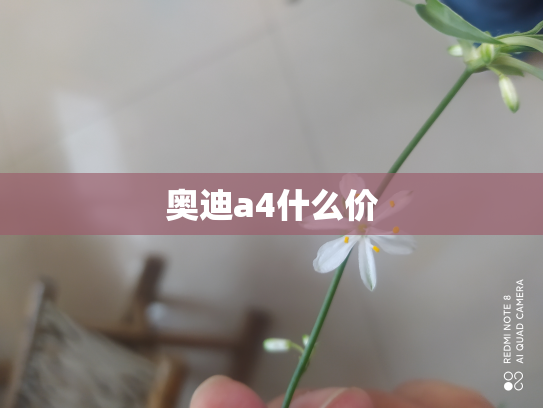 奥迪a4什么价