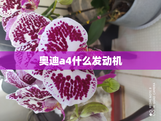 奥迪a4什么发动机
