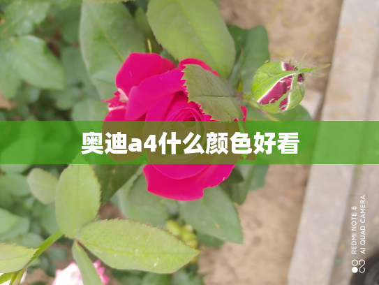 奥迪a4什么颜色好看