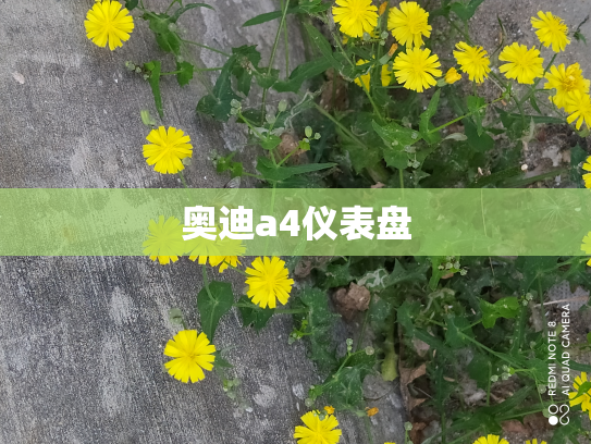 奥迪a4仪表盘