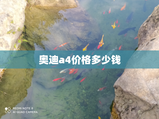 奥迪a4价格多少钱