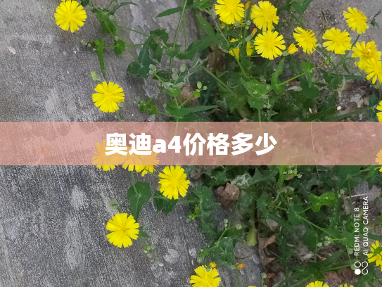 奥迪a4价格多少