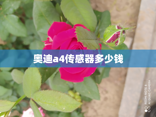 奥迪a4传感器多少钱