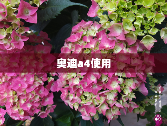 奥迪a4使用