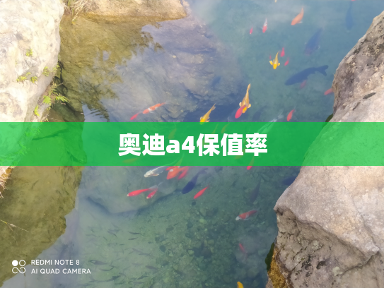 奥迪a4保值率