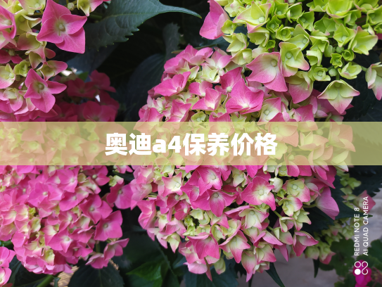 奥迪a4保养价格