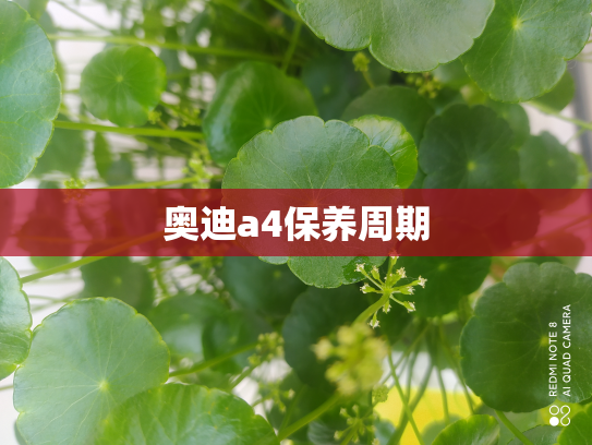 奥迪a4保养周期