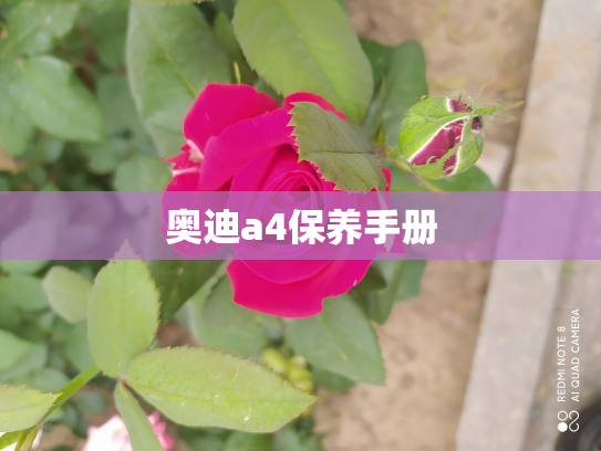 奥迪a4保养手册