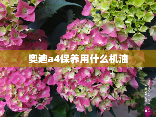 奥迪a4保养用什么机油