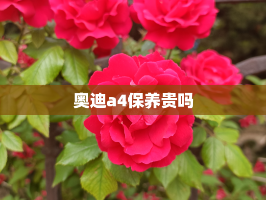 奥迪a4保养贵吗