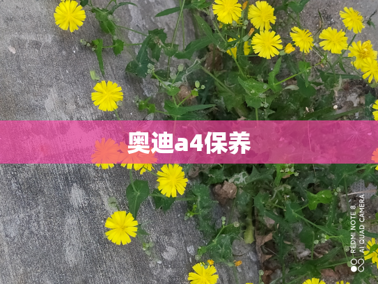 奥迪a4保养