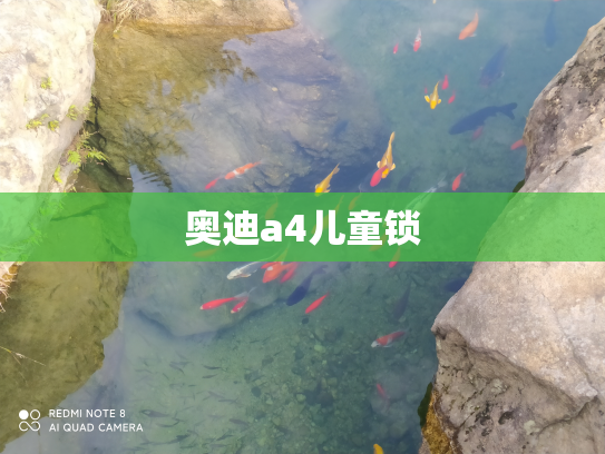 奥迪a4儿童锁