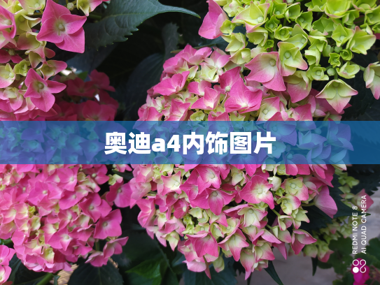 奥迪a4内饰图片