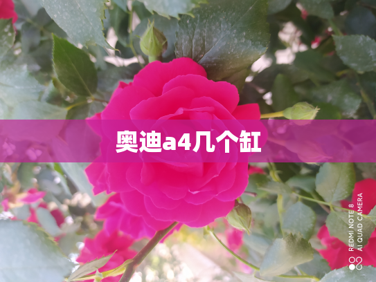 奥迪a4几个缸