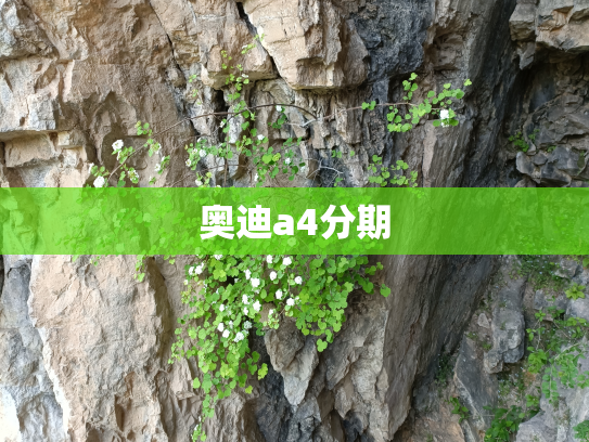 奥迪a4分期
