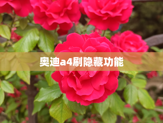 奥迪a4刷隐藏功能
