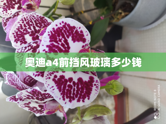 奥迪a4前挡风玻璃多少钱