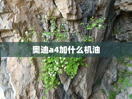 奥迪a4加什么机油
