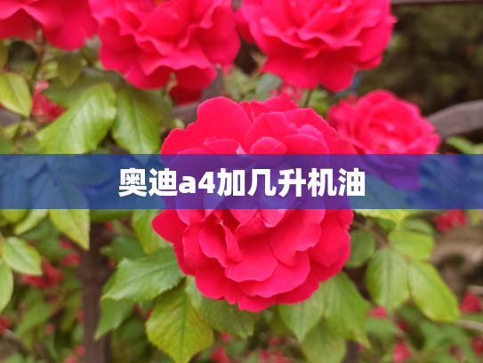 奥迪a4加几升机油