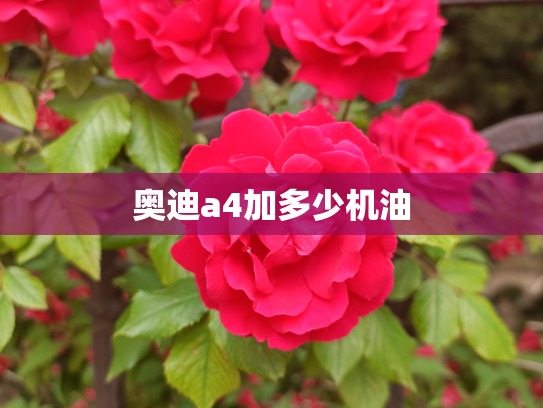 奥迪a4加多少机油