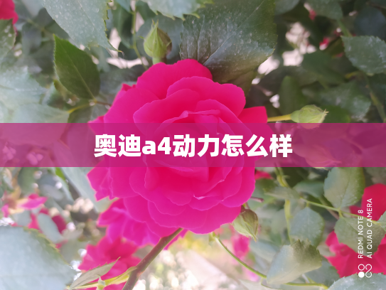 奥迪a4动力怎么样
