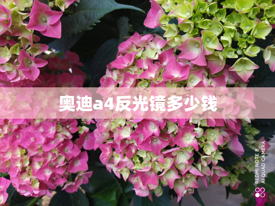 奥迪a4反光镜多少钱