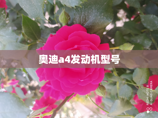 奥迪a4发动机型号