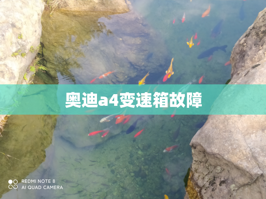 奥迪a4变速箱故障