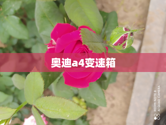 奥迪a4变速箱