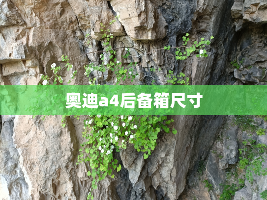 奥迪a4后备箱尺寸
